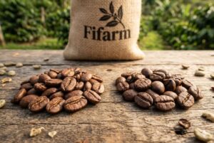 Vì Sao Phải Phối Trộn Arabica Và Robusta?