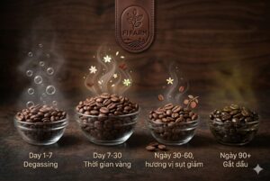 Hạt Cà Phê Rang Mộc: Cách Bảo Quản Không Bị Gắt Dầu 3 1.1 1