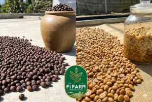 Sự Thật Về Cà Phê Sạch Từ Nông Trại – 5 Tiêu Chuẩn Làm Nên Sự Khác Biệt? 5 2